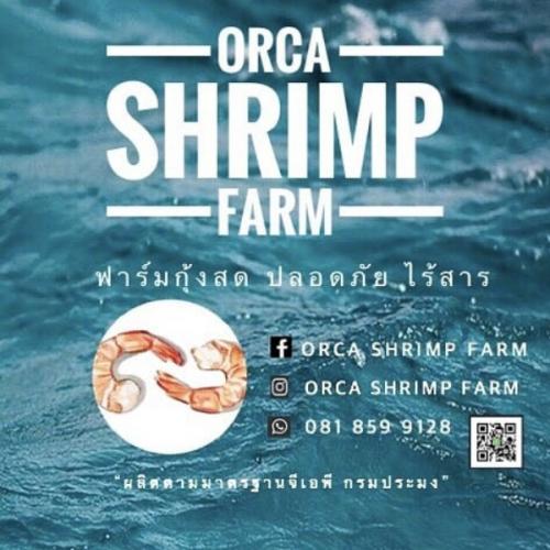 สมาชิกหมายเลข 5167254