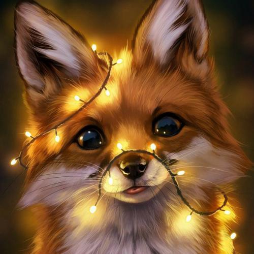 สมาชิกหมายเลข 910670