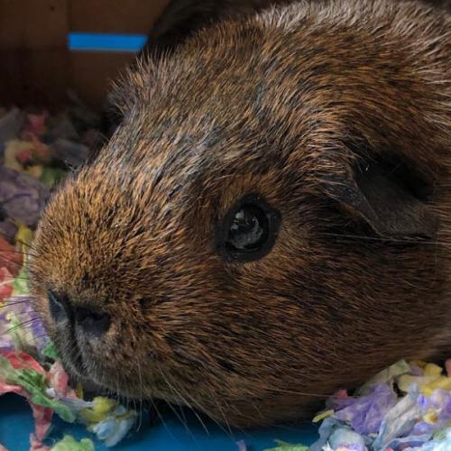 สมาชิกหมายเลข 3770429