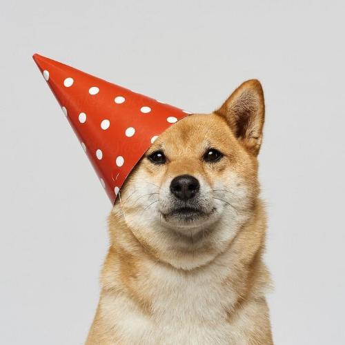 สมาชิกหมายเลข 5640881