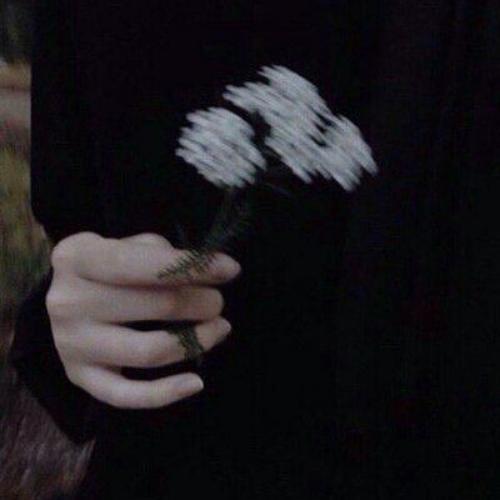 สมาชิกหมายเลข 6148502