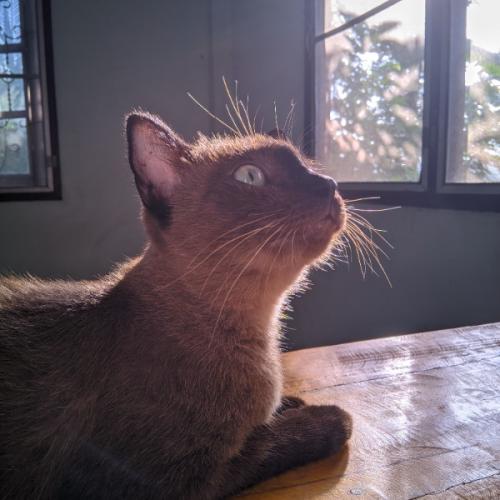 สมาชิกหมายเลข 6819825