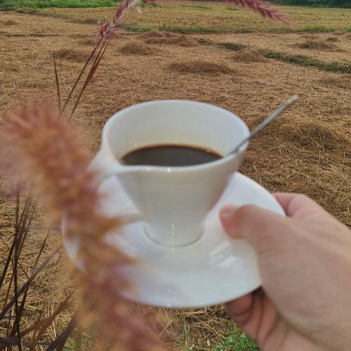 สมาชิกหมายเลข 8459543