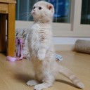 สมาชิกหมายเลข 1811004