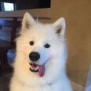 สมาชิกหมายเลข 3985692