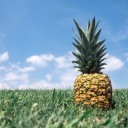 สมาชิกหมายเลข 3989285