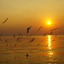 สมาชิกหมายเลข 4347702