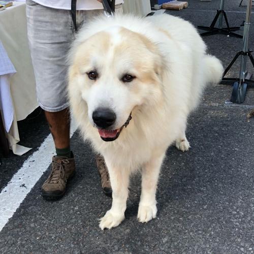 สมาชิกหมายเลข 1538822