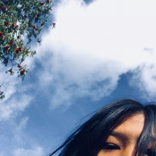 สมาชิกหมายเลข 4798815