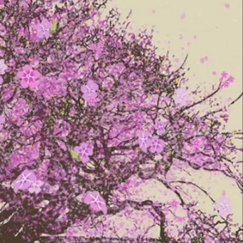 สมาชิกหมายเลข 4798903