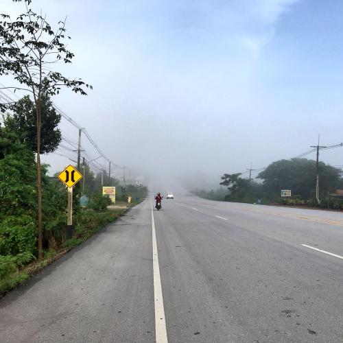 สมาชิกหมายเลข 4412580