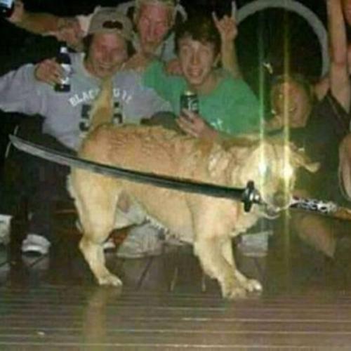 สมาชิกหมายเลข 6147854