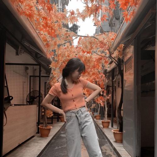 สมาชิกหมายเลข 6776637