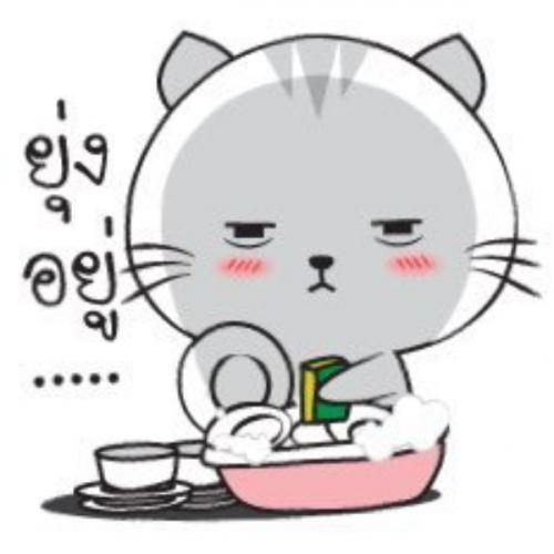 ว่างแล้วครับ