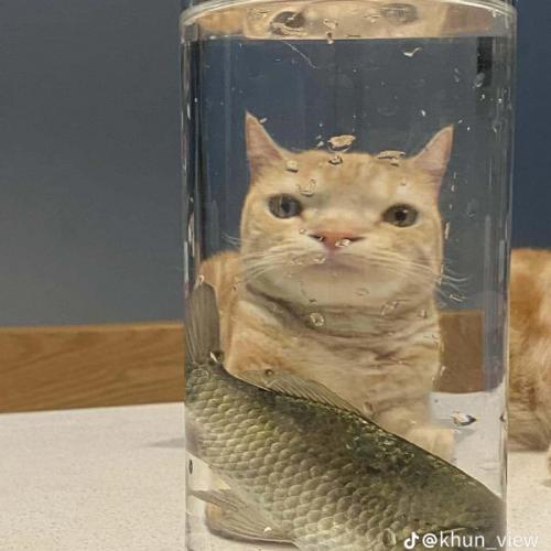 สมาชิกหมายเลข 7218622