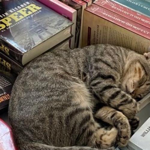 สมาชิกหมายเลข 4363123