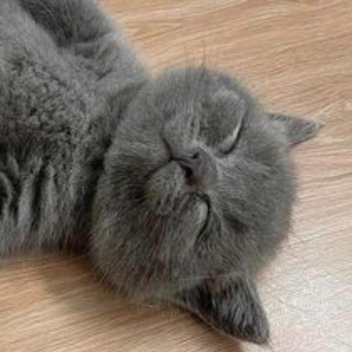 สมาชิกหมายเลข 6941859