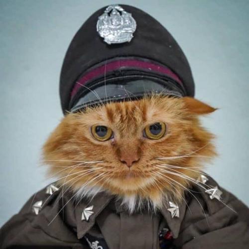 สมาชิกหมายเลข 938958