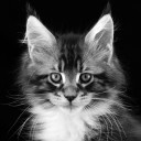 สมาชิกหมายเลข 2252609