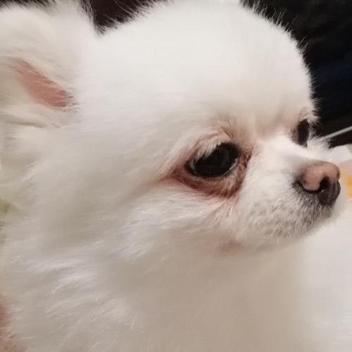 สมาชิกหมายเลข 4698538