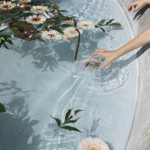 สมาชิกหมายเลข 5583905