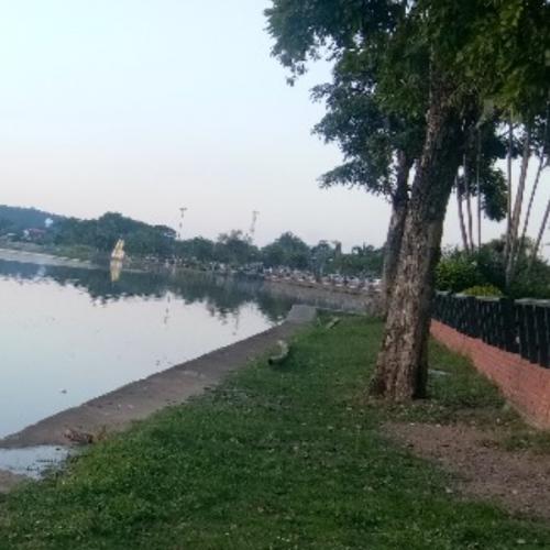 สมาชิกหมายเลข 5586964