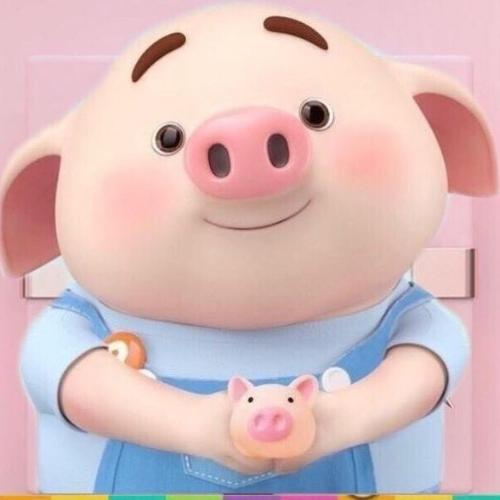 สมาชิกหมายเลข 5021917