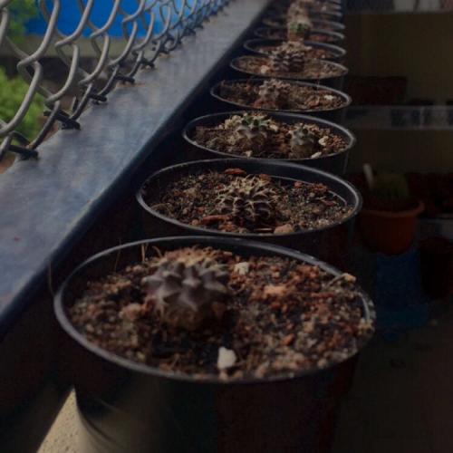 สมาชิกหมายเลข 5926735