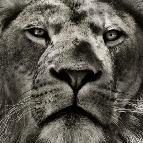 สมาชิกหมายเลข 6777118