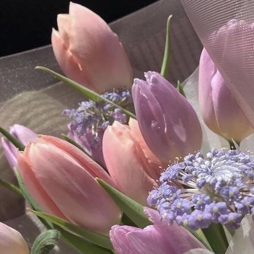 สมาชิกหมายเลข 7549064