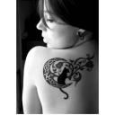 สมาชิกหมายเลข 3800253