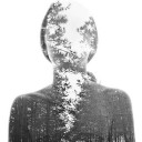 สมาชิกหมายเลข 3991905