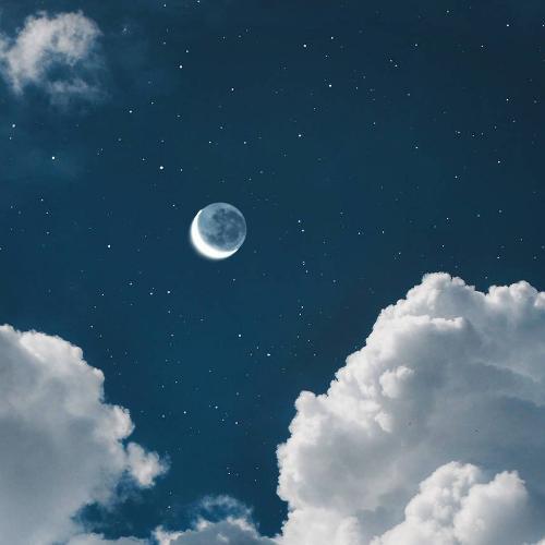 สมาชิกหมายเลข 4799208