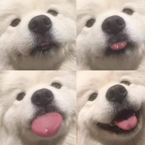 สมาชิกหมายเลข 2975933