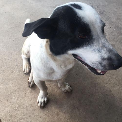 สมาชิกหมายเลข 4712638