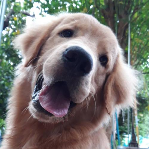 สมาชิกหมายเลข 1150868