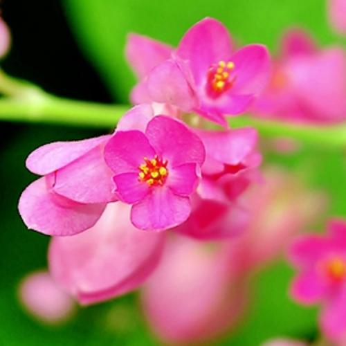 สมาชิกหมายเลข 3939786