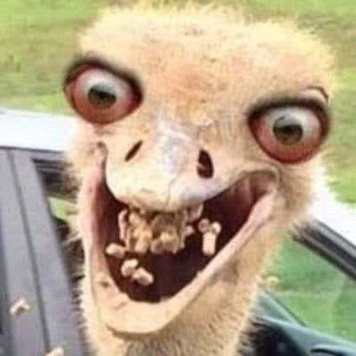 สมาชิกหมายเลข 3502895