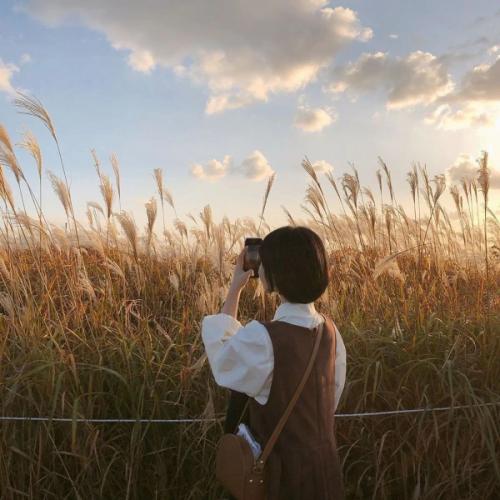 สมาชิกหมายเลข 7453536