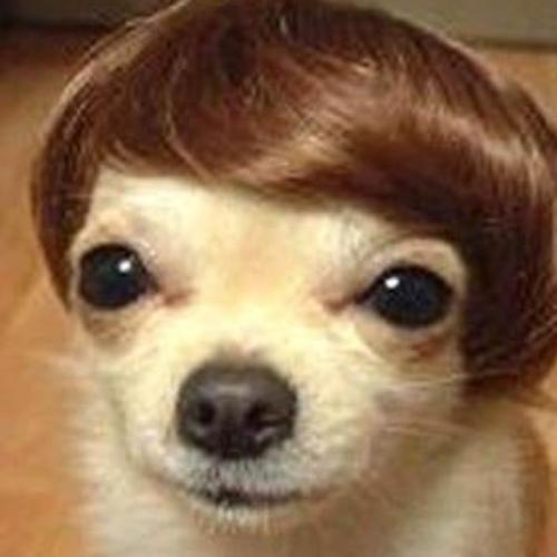 สมาชิกหมายเลข 7549345