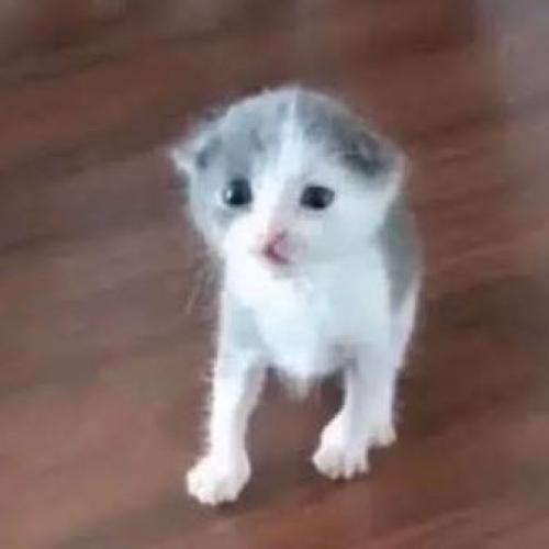 สมาชิกหมายเลข 8462501