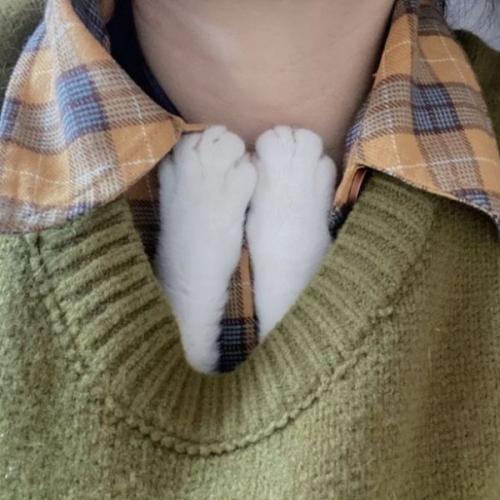 สมาชิกหมายเลข 8462671