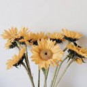 สมาชิกหมายเลข 4609694