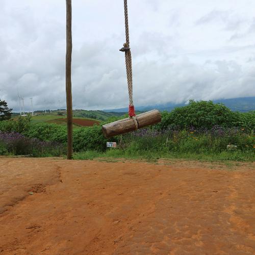 สมาชิกหมายเลข 4799350