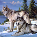 สมาชิกหมายเลข 4800074