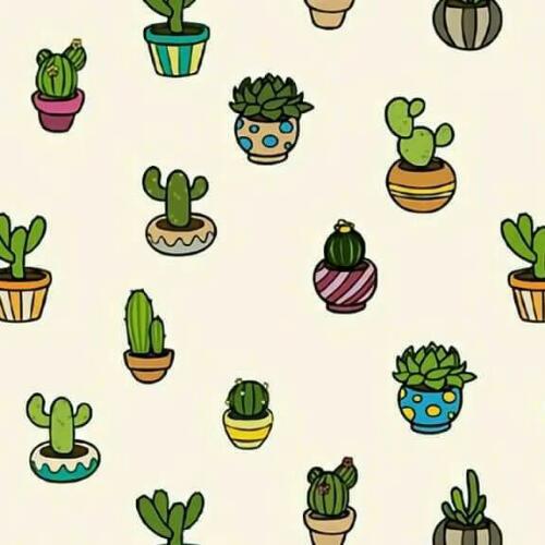 สมาชิกหมายเลข 4800169