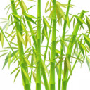 สมาชิกหมายเลข 4014076