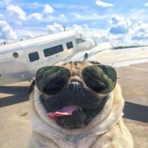 สมาชิกหมายเลข 4821176