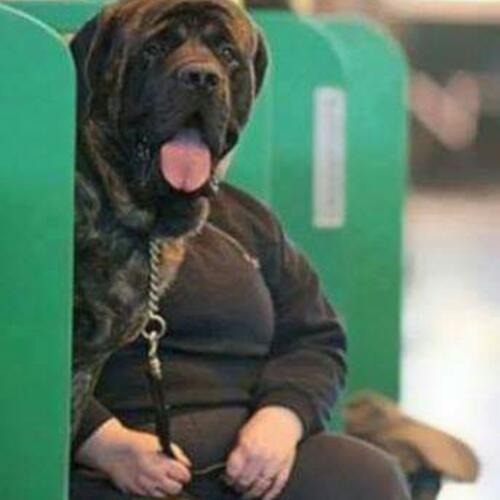 สมาชิกหมายเลข 5181023