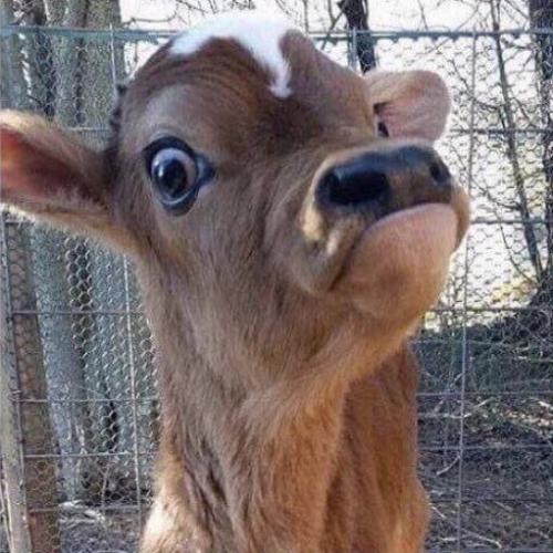 สมาชิกหมายเลข 5587773